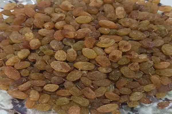 تصویر 4 از خرید و قیمت کشمش زرد + فروش عمده