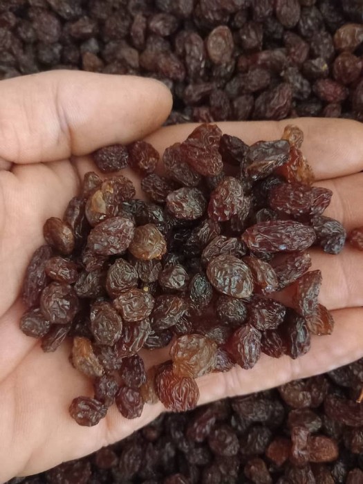 تصویر 3 از خرید جدیدترین انواع کشمش پلویی