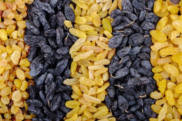 تصویر 2 از معرفی کشمش کیلویی + بهترین قیمت خرید