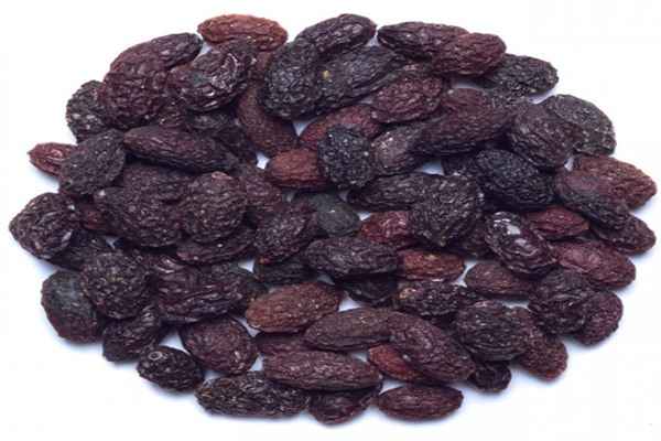 تصویر 4 از خرید میوه خشک زغال اخته + قیمت عالی باکیفیت