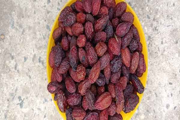 تصویر 5 از خرید میوه خشک زغال اخته + قیمت عالی باکیفیت