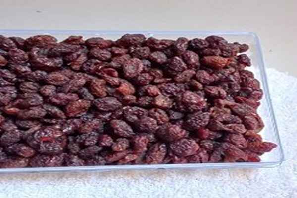 تصویر 2 از خرید میوه خشک بلوبری + قیمت عالی باکیفیت