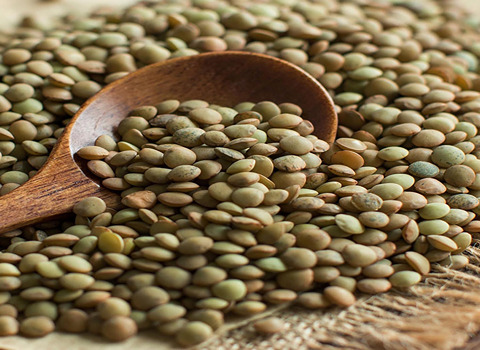 تصویر 4 از خرید عدس سبز ریز  + قیمت فروش استثنایی