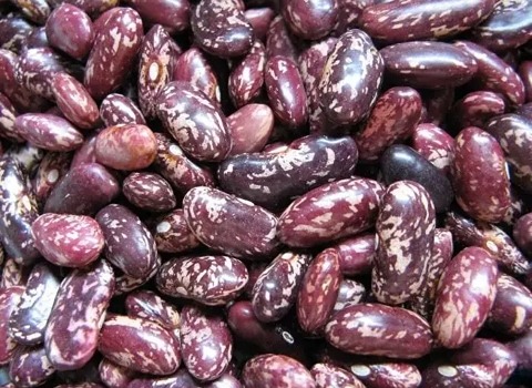 تصویر 1 از قیمت خرید لوبیا چیتی ازبکستان با فروش عمده