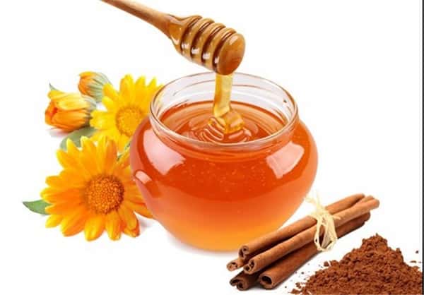 تصویر 3 از قیمت خرید عسل گون اصل + فروش ویژه