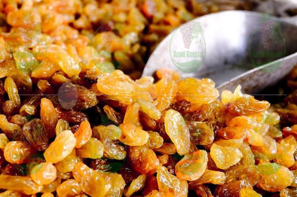 تصویر 4 از قیمت خرید کشمش زرد دودی + فروش ویژه