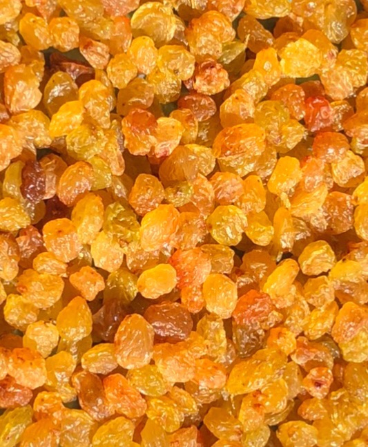 تصویر 5 از قیمت خرید کشمش زرد دودی + فروش ویژه