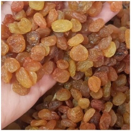 فروش کشمش خوشه