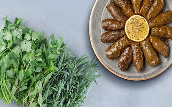 تصویر 2 از خرید و فروش سبزی خشک ارگانیک با شرایط فوق العاده
