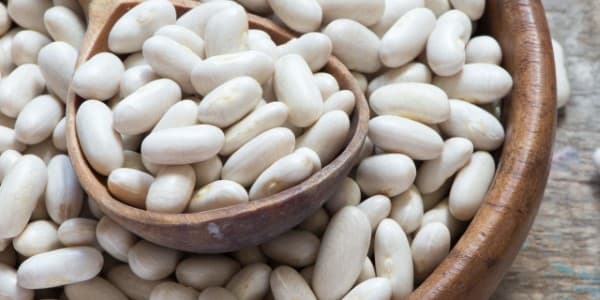 تصویر 1 از فروش لوبیا سفید کشاورزی + قیمت خرید به صرفه