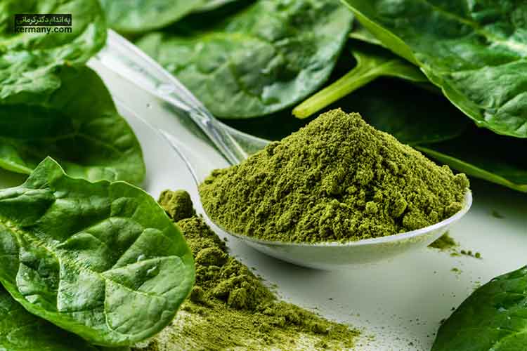 تصویر 5 از قیمت خرید اسفناج خشک شده + فروش ویژه
