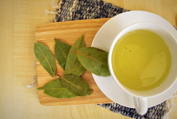 تصویر 3 از خرید و قیمت برگ بو خشک شده + فروش عمده
