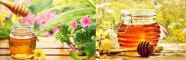 تصویر 3 از خرید عسل 10 کیلویی + قیمت فروش استثنایی