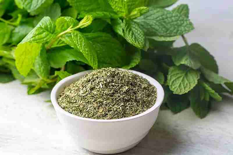 تصویر 1 از خرید و قیمت نعنا خشک شده + فروش عمده
