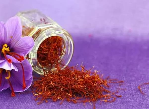 تصویر 1 از قیمت ریشه زعفران اصل + خرید عمده