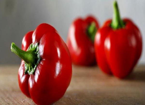 تصویر 4 از قیمت فلفل دلمه قرمز + خرید باور نکردنی