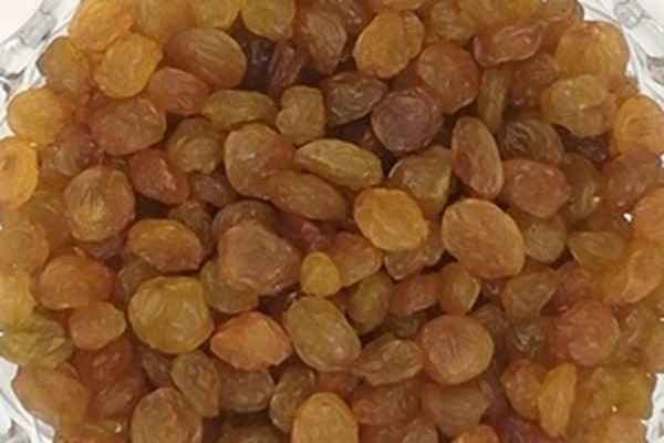 تصویر 1 از فروش کشمش طلایی تیزابی + قیمت خرید به صرفه
