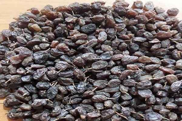 تصویر 3 از خرید مویز بی هسته ایرانی + قیمت فروش استثنایی