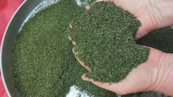 تصویر 3 از قیمت نعناع خشک خانگی + خرید باور نکردنی