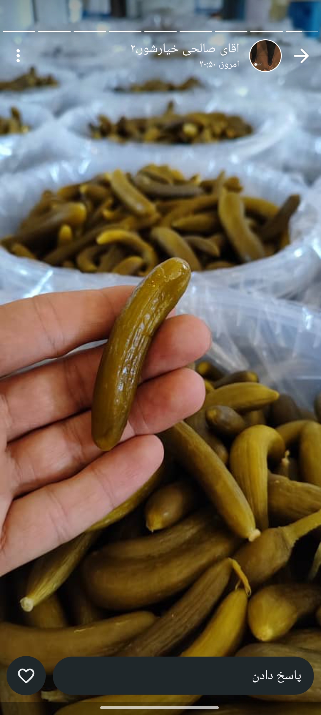 تصویر 1 از خرید و فروش خیارشور صادراتی با کیفیت عالی و شرایط استثنایی