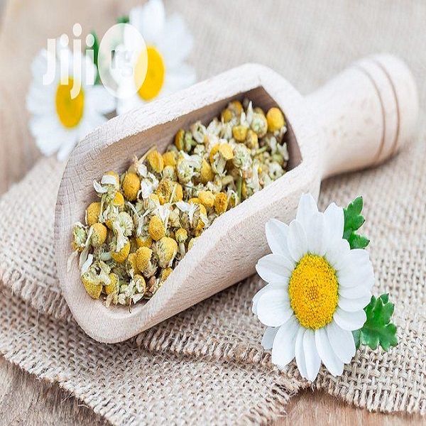 تصویر 1 از قیمت گل بابونه خشک + خرید باور نکردنی