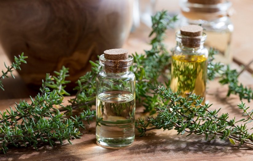 تصویر 5 از قیمت خرید آویشن برای سرفه با فروش عمده