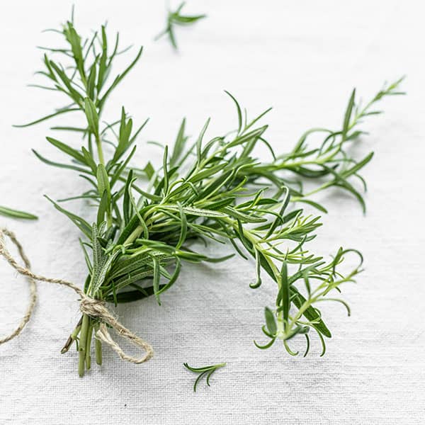 تصویر 1 از قیمت گیاهان دارویی آویشن با کیفیت ارزان + خرید عمده