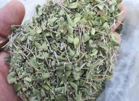 تصویر 1 از فروش آویشن شیرازی گیاهینه + قیمت خرید به صرفه