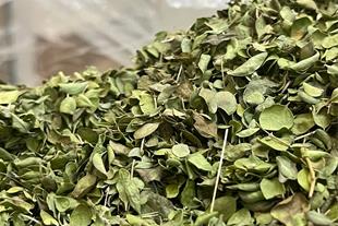تصویر 4 از قیمت گیاه آویشن باغی + خرید باور نکردنی
