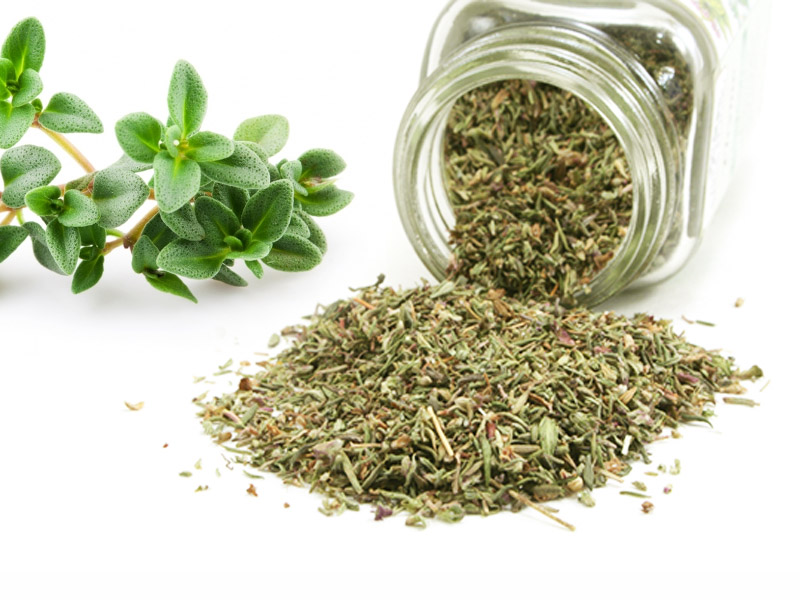 تصویر 3 از قیمت گیاه آویشن باغی + خرید باور نکردنی