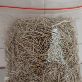 تصویر 1 از خرید و قیمت آویشن شیرازی اصل + فروش عمده