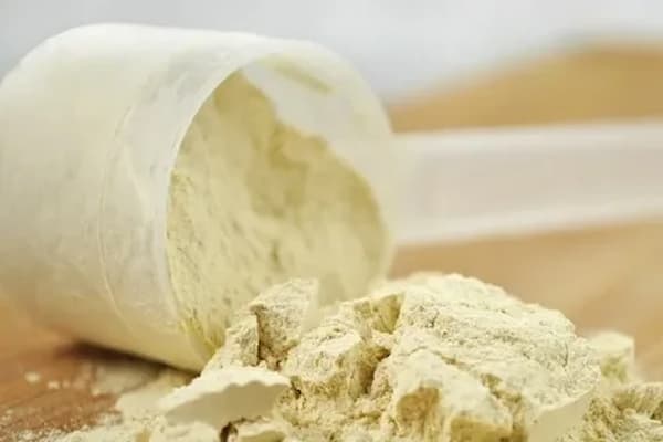 تصویر 3 از قیمت خرید پودر صدف برای بلدرچین + فروش ویژه