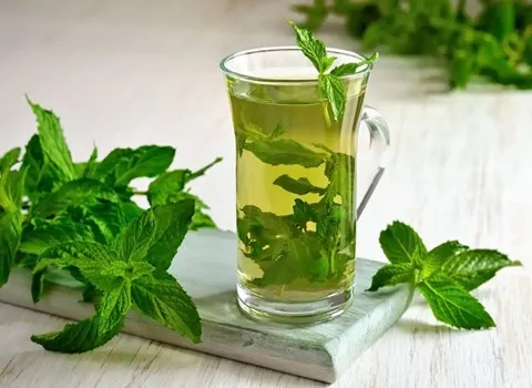 تصویر 3 از خرید عرق نعنا عمده + قیمت فروش استثنایی