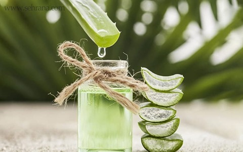 تصویر 1 از قیمت خرید عرق پونه کوهی + فروش ویژه