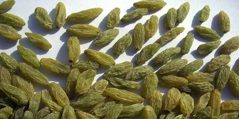 فروش کشمش سبز ممتاز+قیمت خرید به صرفه