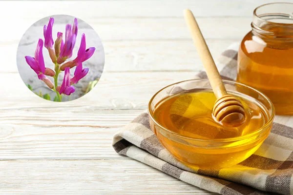 تصویر 1 از قیمت عسل طبیعی گون گز انگبین اعلا + فروش عمده
