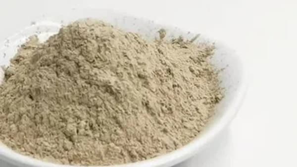 تصویر 3 از فروش پودر صدف قارچی + قیمت خرید به صرفه
