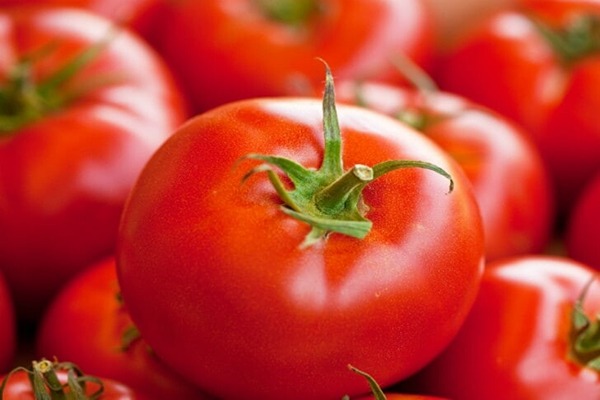 تصویر 2 از قیمت خرید گوجه فرنگی یونیژن عمده به صرفه و ارزان