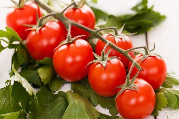 رب گوجه فرنگی سید درجه یک صادراتی