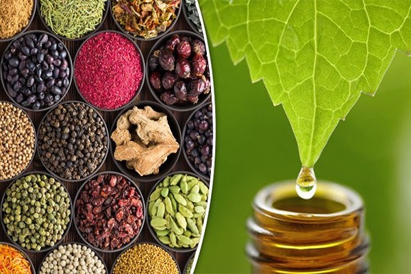 تصویر 5 از خرید و فروش عرق رازیانه غلیظ با شرایط فوق العاده