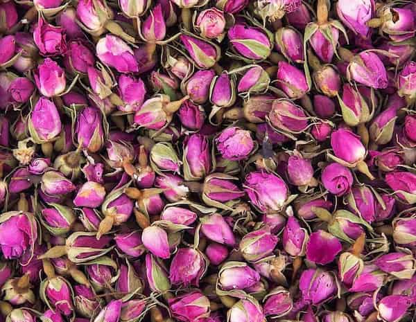 تصویر 1 از غنچه گل محمدی با خواص و کاربرد های بی نظیر با کیفیت برتر و قیمت رقابتی
