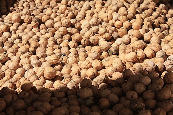 تصویر 5 از قیمت خرید دستگاه بسته بندی گردو با فروش عمده