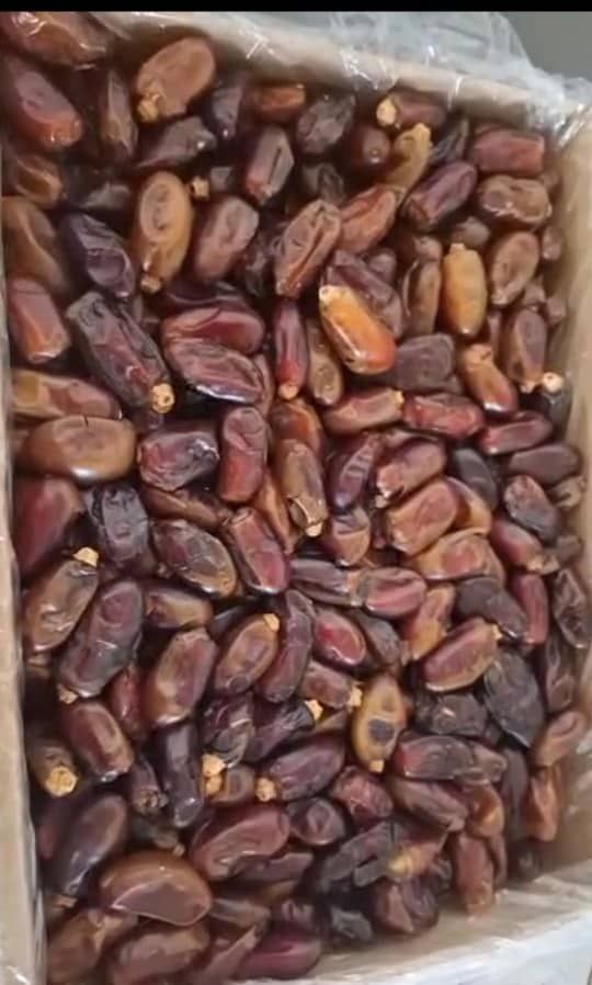خرمای استعمران مرغوب