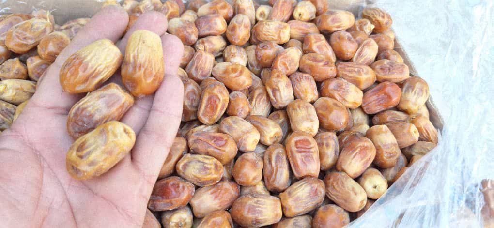 خرمای زاهدی طلایی خوش طعم و درجه یک