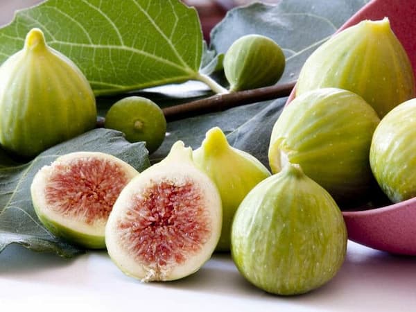 تصویر 1 از قیمت خرید انجیر سفید گلابی + فروش ویژه