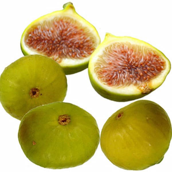 تصویر 2 از قیمت خرید انجیر سفید گلابی + فروش ویژه