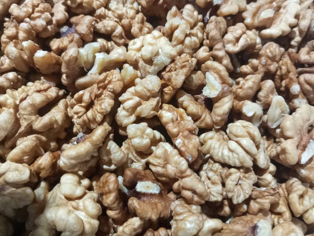 تصویر 3 از مغز گردوی سامان + خریده عمده