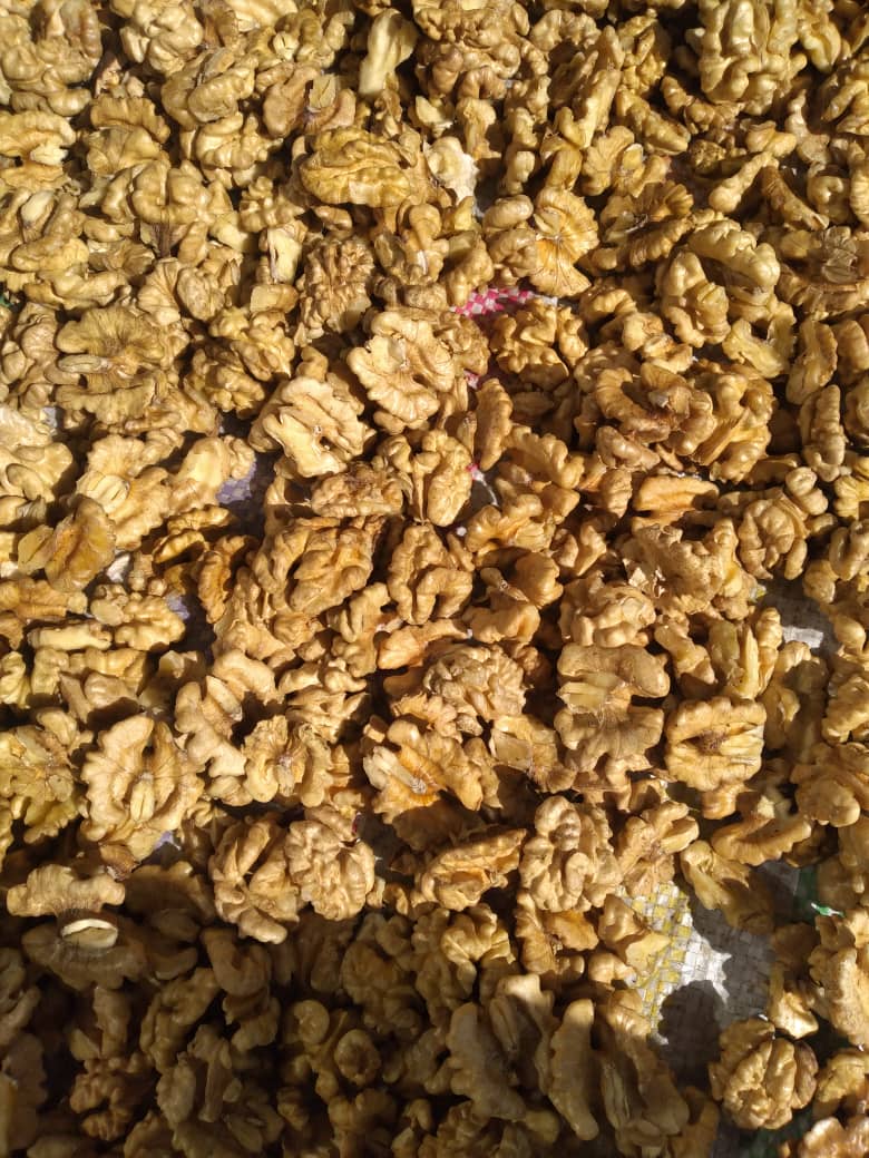 تصویر 2 از مغز گردوی سامان + خریده عمده