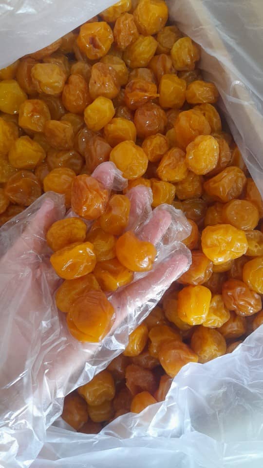 تصویر 1 از خرید آلو مشهدی ممتاز