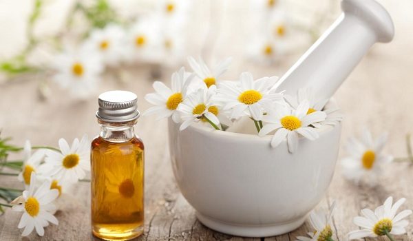 تصویر 2 از گل بابونه معرفی خواص درمانی و کاربردهای گیاه دارویی اصیل